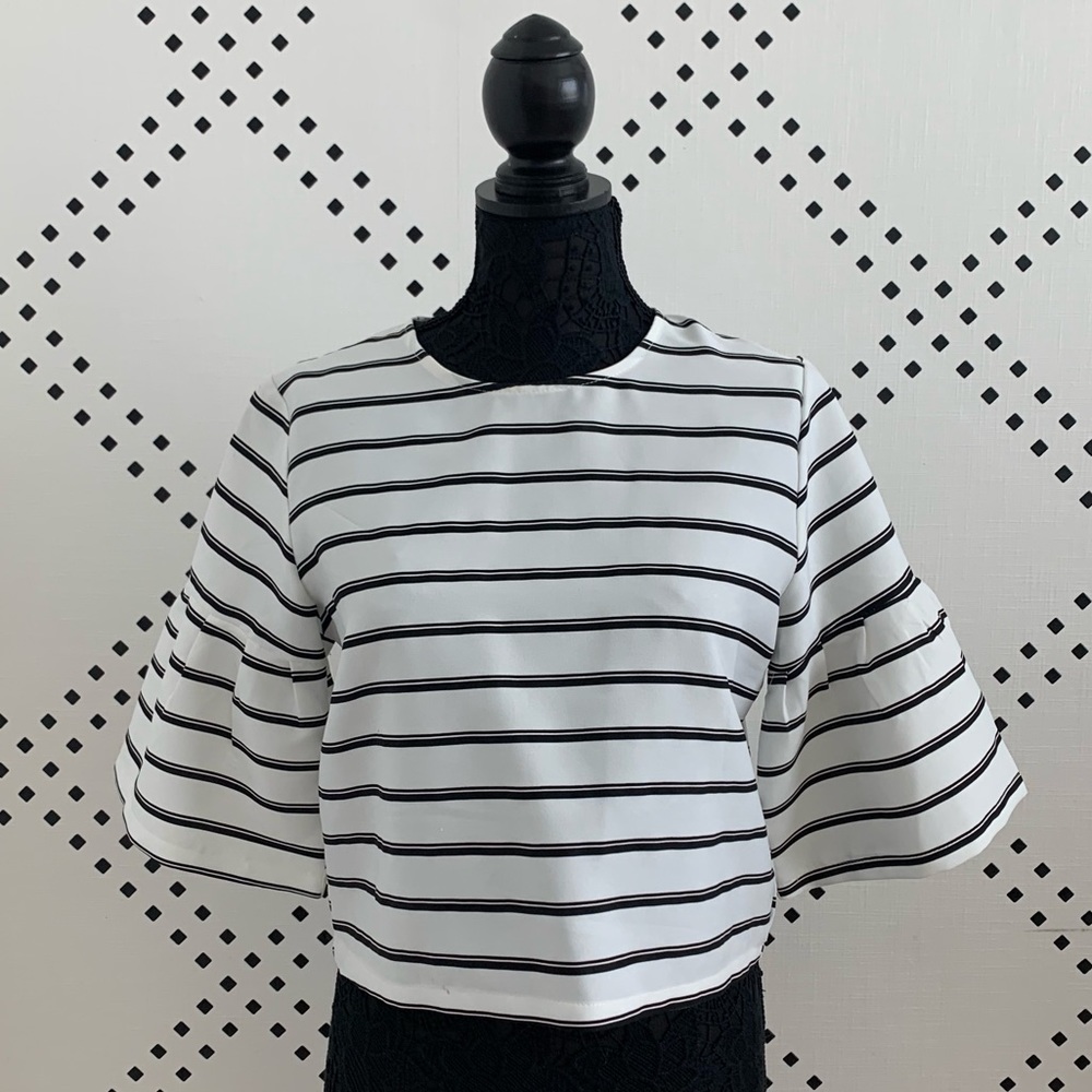 Flare Sleeved Blouse
